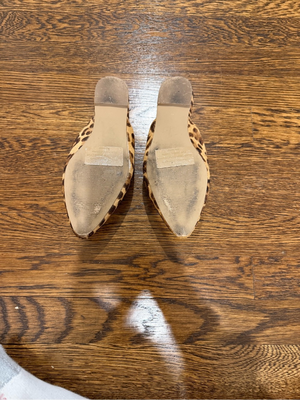 Steve Madden Leopard Print Pointed Toe Mules in Brown/Tan - Picture 4 of 4